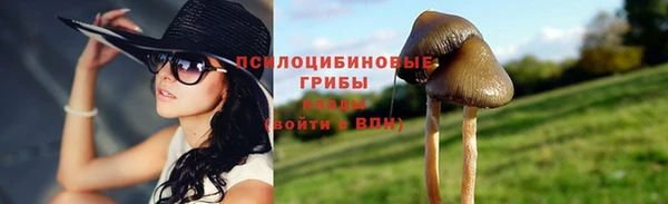 прущие крисы Алзамай